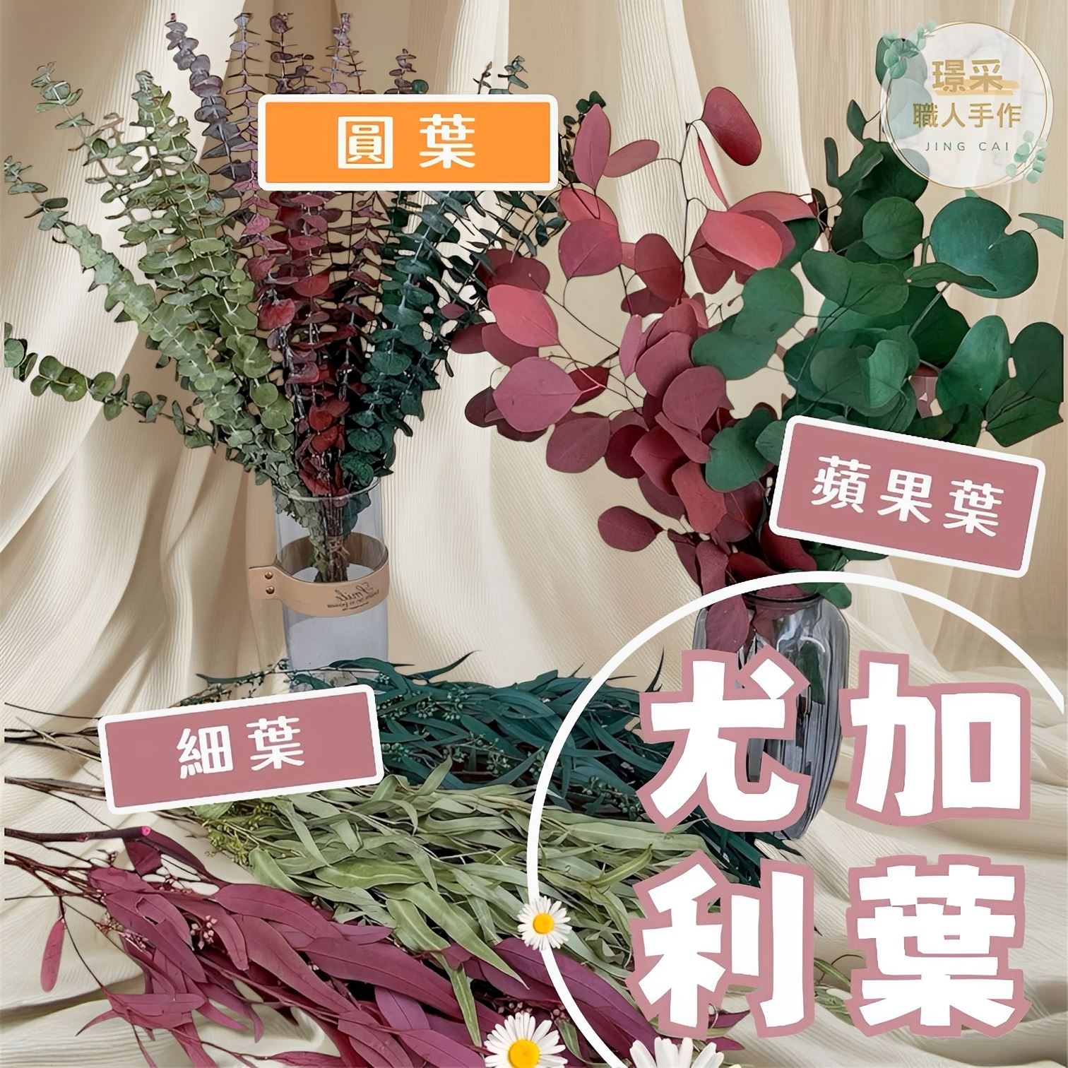 【璟采職人】尤加利葉 尤加利細葉 尤加利圓葉 尤加利蘋果葉