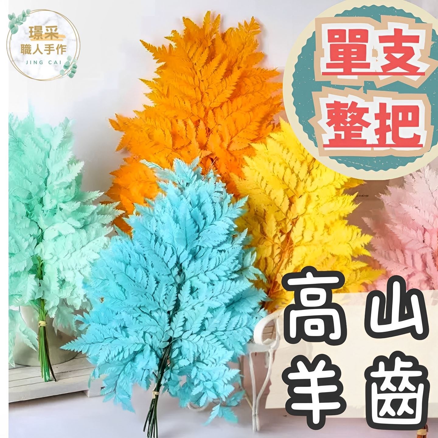 【璟采職人】高山羊齒 蕨類 蕨葉