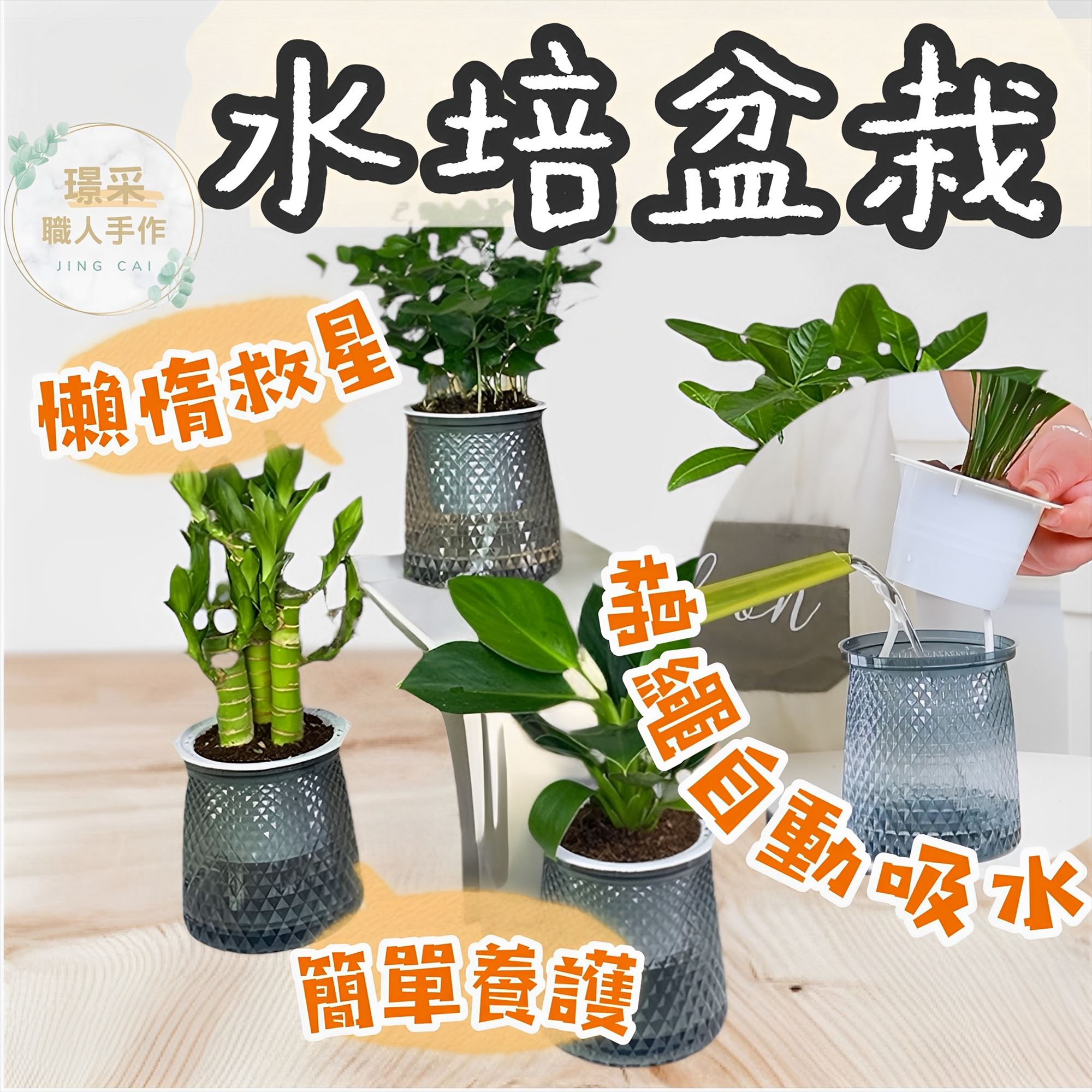 【璟采職人】水培塑膠盆 水培花盆 水培盆栽 懶人盆栽